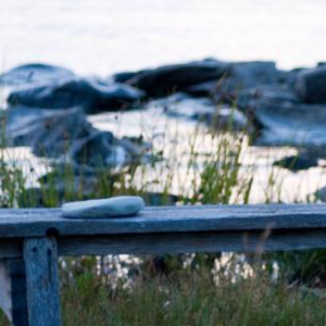 Anne-Charlotte Norberg